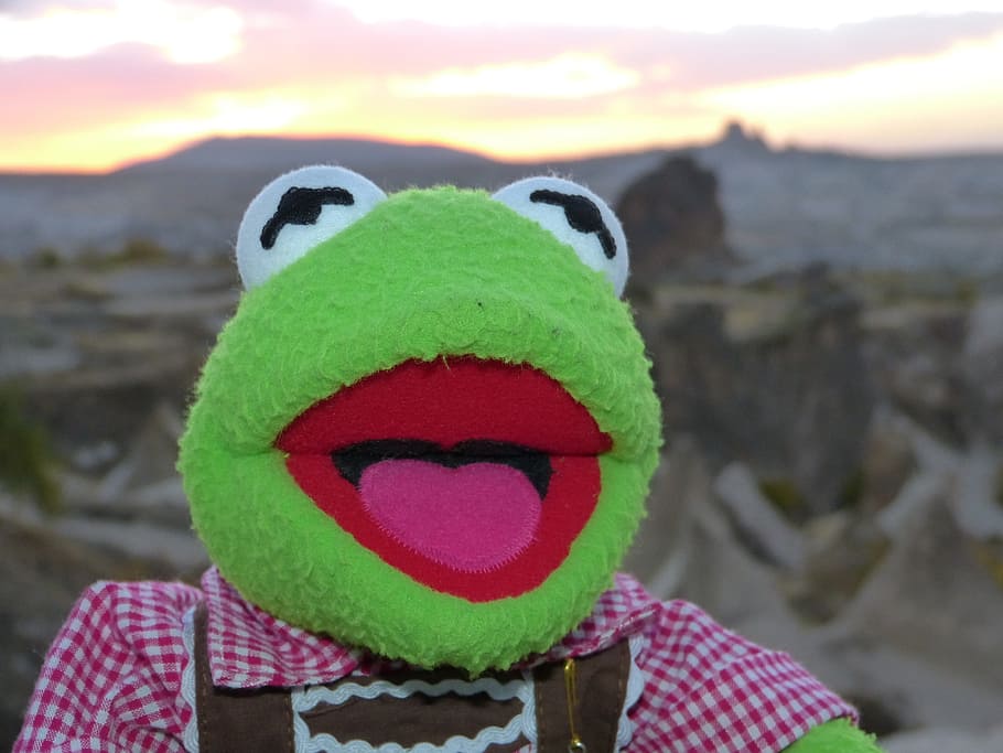 Kermit, Frog, Doll, Figure, green, costume, leather pants, laugh HD wallpaper