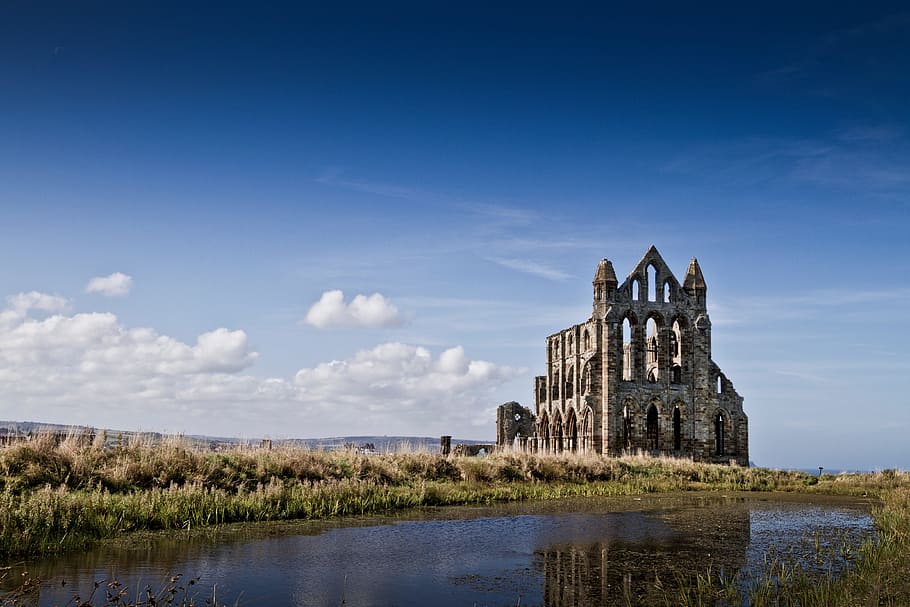 architecture, building, infrastructure, church, cathedral, grass HD wallpaper