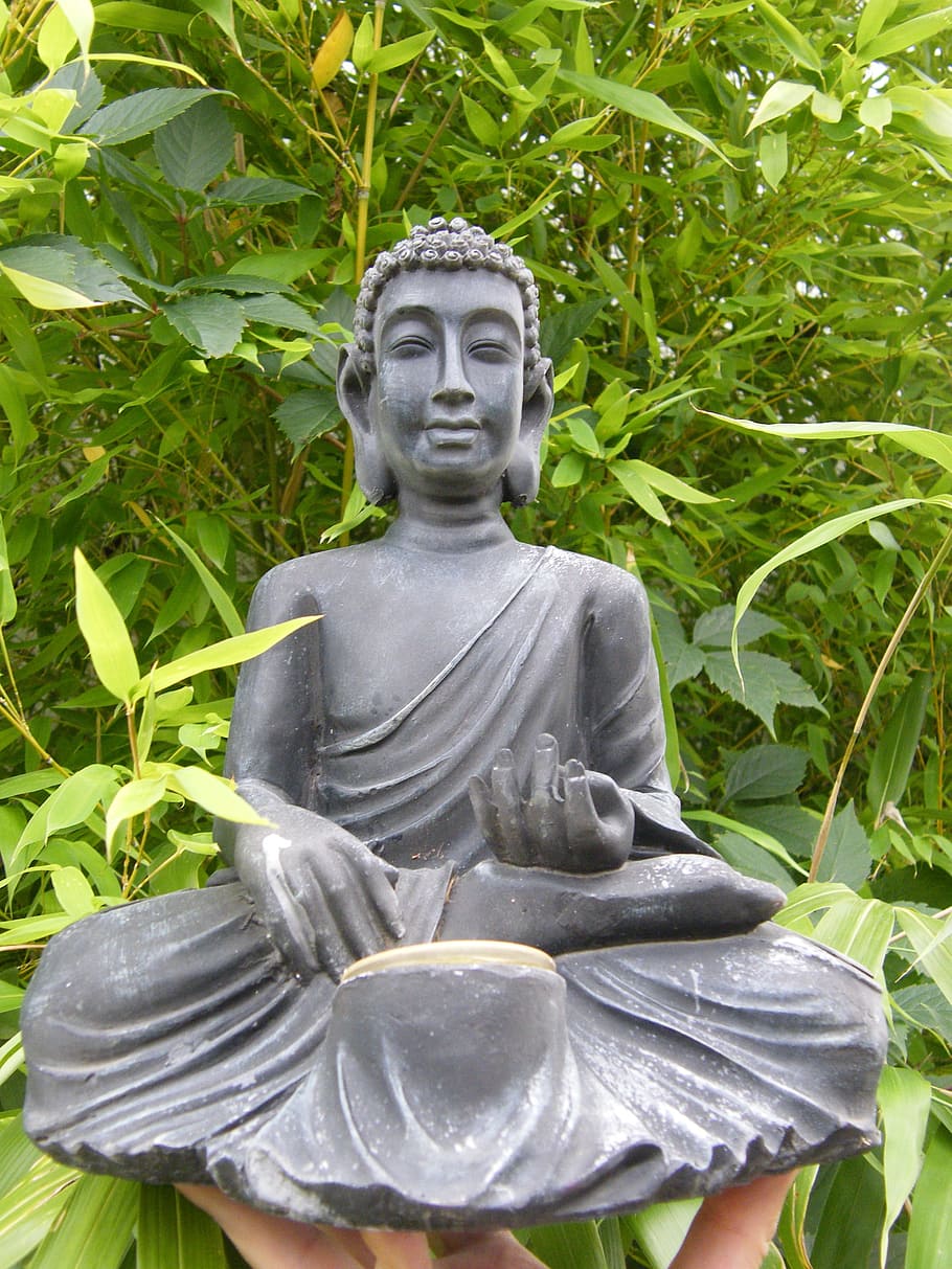 Gautama buddha figurine, Bamboo, Sit, statue, sculpture, no people HD wallpaper