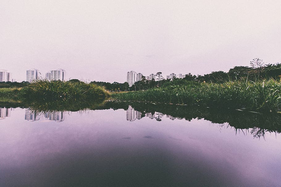 buildings, grass, pond, reflection, water, nature, river, lake HD wallpaper