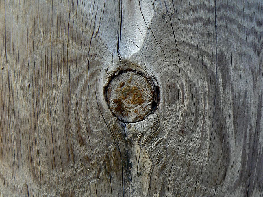 Wood, Knot, Texture, Pine, Cracks, trunks, wood - material HD wallpaper
