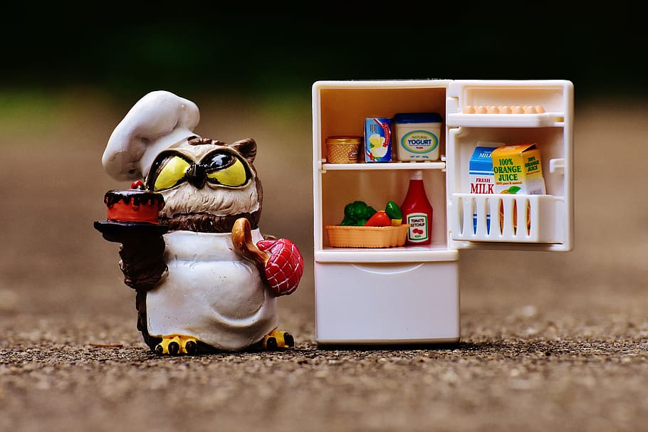 Owl, Bake, Cook, Refrigerator, Figure, cute, funny, sweet, baked HD wallpaper