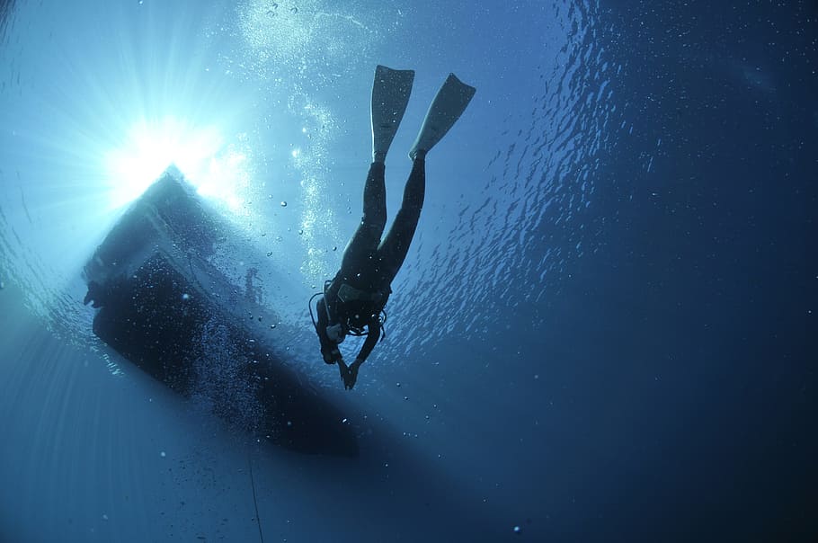 person diving underwater, divers, sea, sport, adventure, one person, HD wallpaper