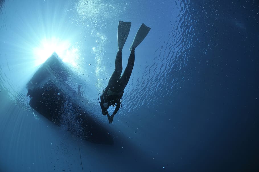 person diving underwater, divers, sea, sport, adventure, one person HD wallpaper
