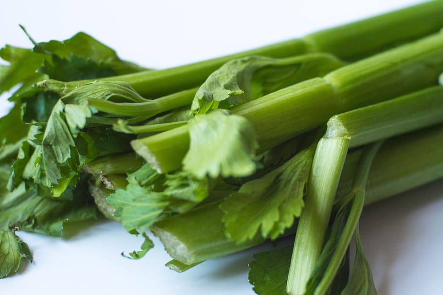celery, green, food, vegetable, healthy, organic, fresh, nutrition, HD wallpaper