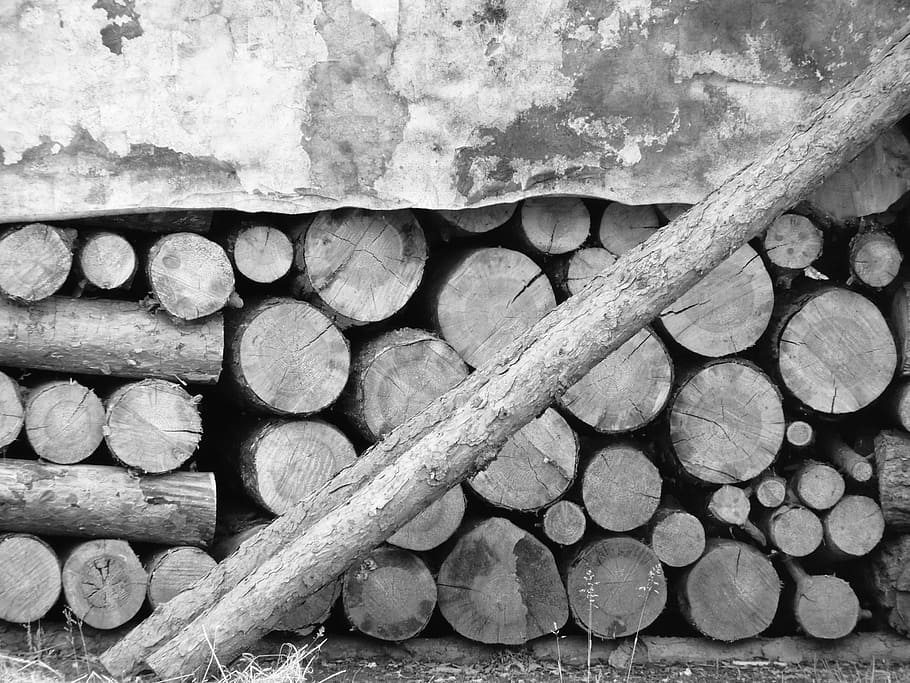 Wood, Supply, Winter, Tree, no people, stack, day, close-up HD wallpaper