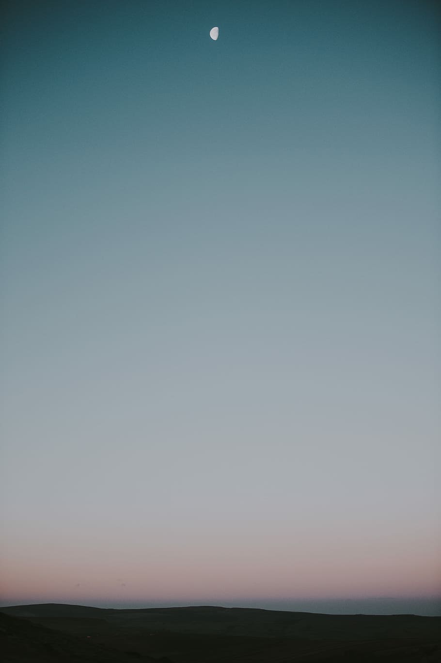 Morning light, goodnight moon, low angle photography of half moon HD wallpaper