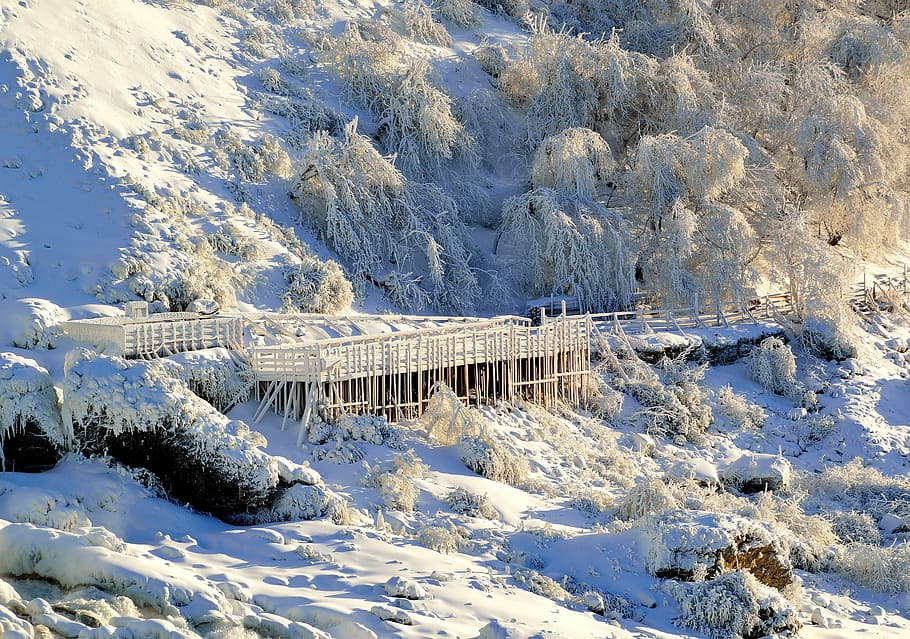walkway, american falls, niagara, winter, nature, frozen, snow, HD wallpaper