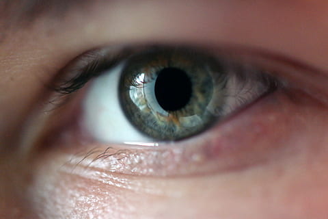 person's eye, macro, iris, skin, eyelash, pupil, human eye HD wallpaper