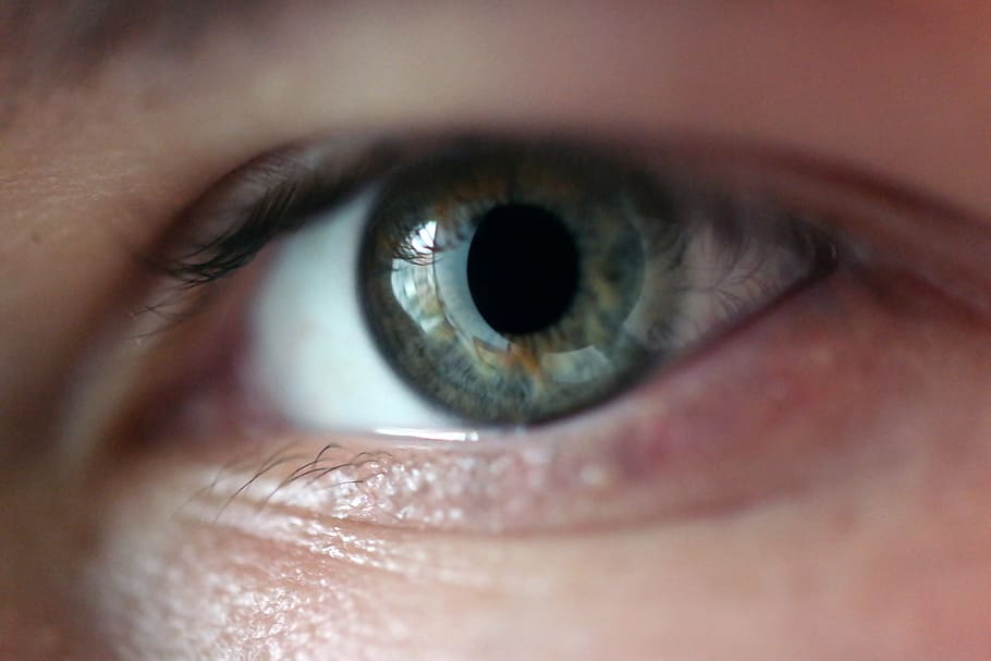 HD wallpaper: person's eye, macro, iris, skin, eyelash, pupil, human ...