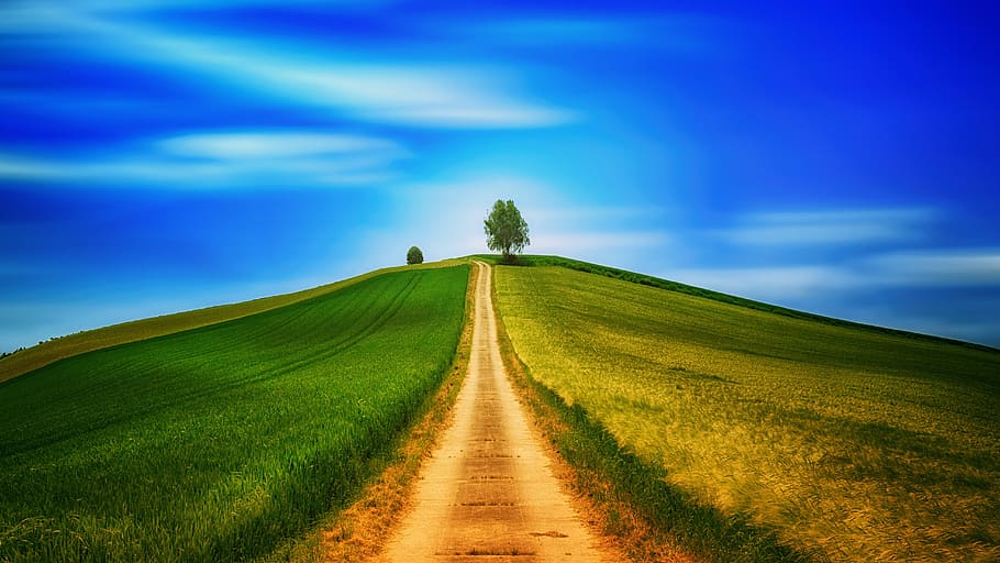 HD wallpaper: road in between green field under blue sky, away, hill, fields  | Wallpaper Flare