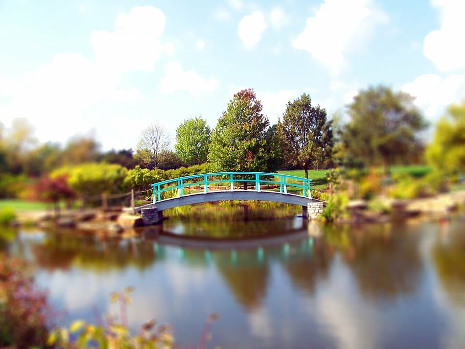 fall, autumn, leaves, pond, bridge, park, trees, clouds, water HD wallpaper