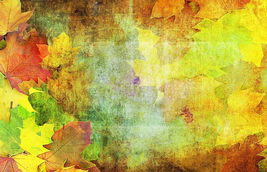 HD wallpaper: yellow,brown and green leaves abstract painting, autumn,  background | Wallpaper Flare