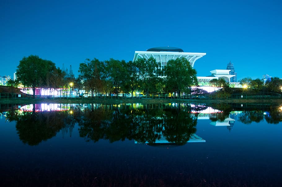 Night View, Reflection, Water, the water, beijing, blue, tree HD wallpaper