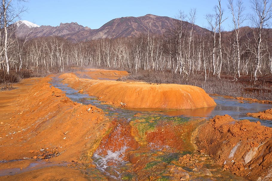 hot spring, forest, mountains, boiling water, silence, kamchatka HD wallpaper
