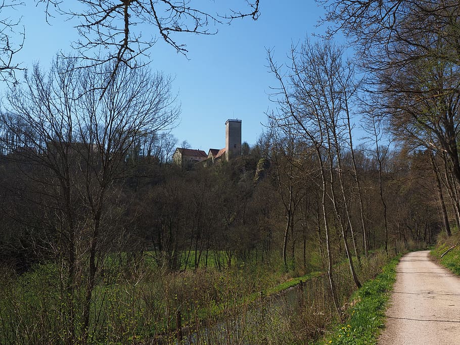 reichenstein castle, ruin, height burg, the big loud valley slope HD wallpaper