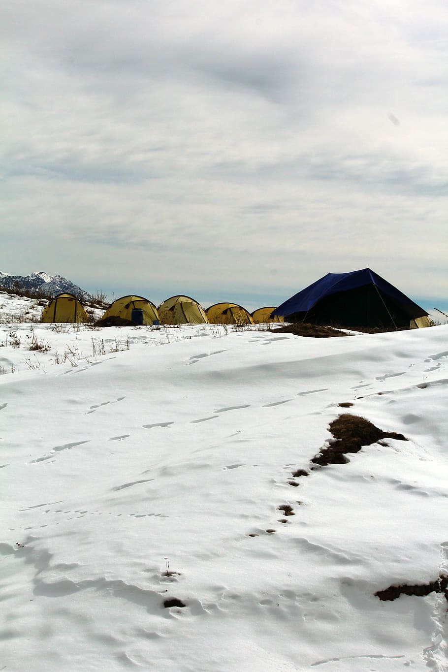 six yellow and black pop-up dome tents on snow, blue and yellow tents camping on snow field at daytime HD wallpaper