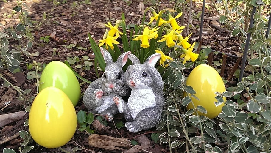easter, rabbit, egg, flowers, easter bunny, figure, spring HD wallpaper