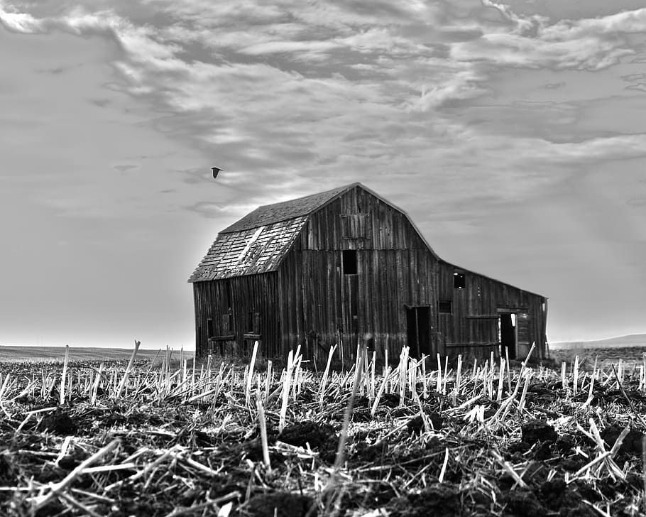 barn, field, farm, landscape, countryside, sky, farmland, straw HD wallpaper