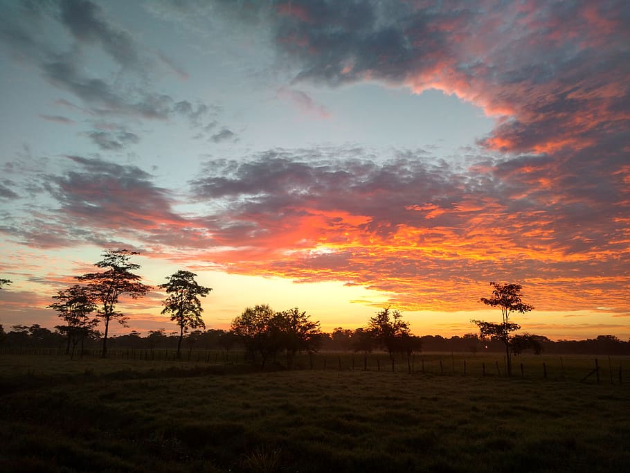 dawn, tomorrow, day, sunset, sky, scenics - nature, tranquility HD wallpaper