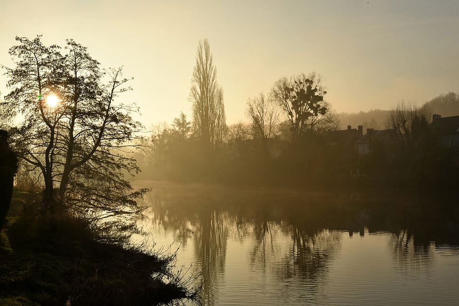 nature, tree, dawn, outdoor, no person, plant, beauty in nature HD wallpaper