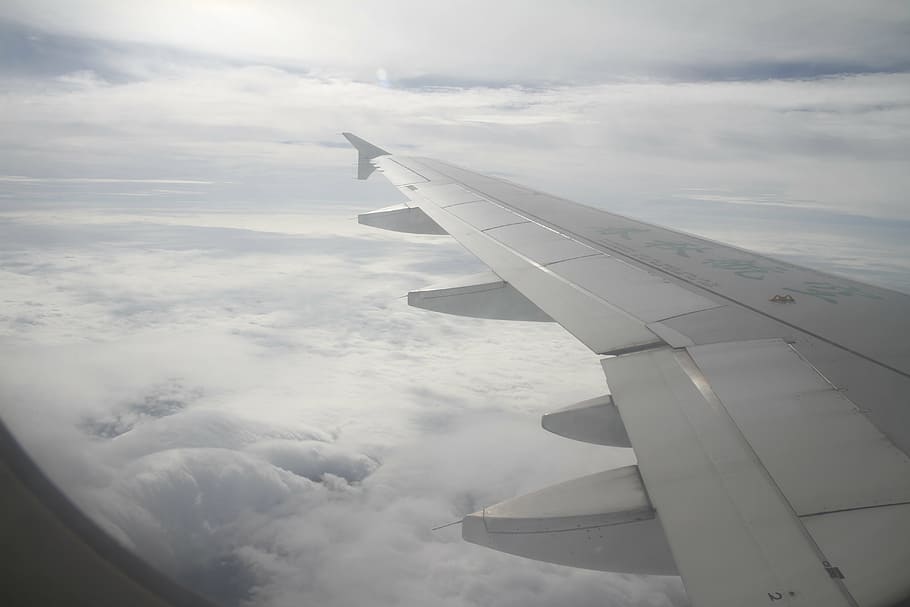 sky, wing, travel, plane, airplane, air vehicle, mode of transportation HD wallpaper