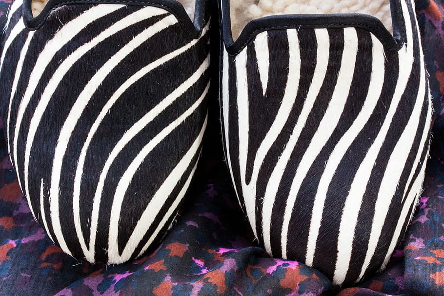 Shoes, Slipper, Zebra Pattern, Fur, lambskin, leather, colored HD wallpaper