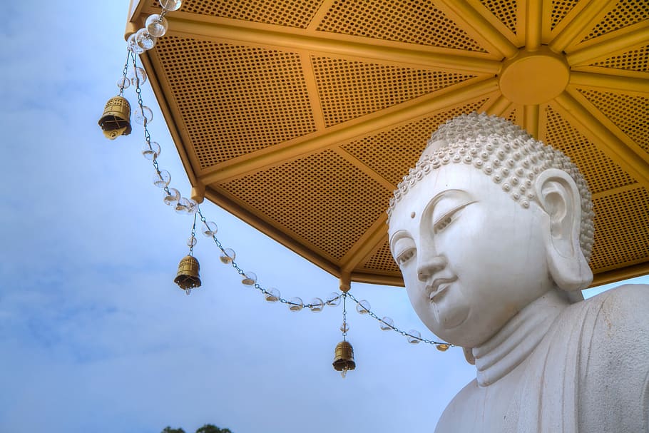 buddha statues, buddhism, artistic conception, low angle view HD wallpaper