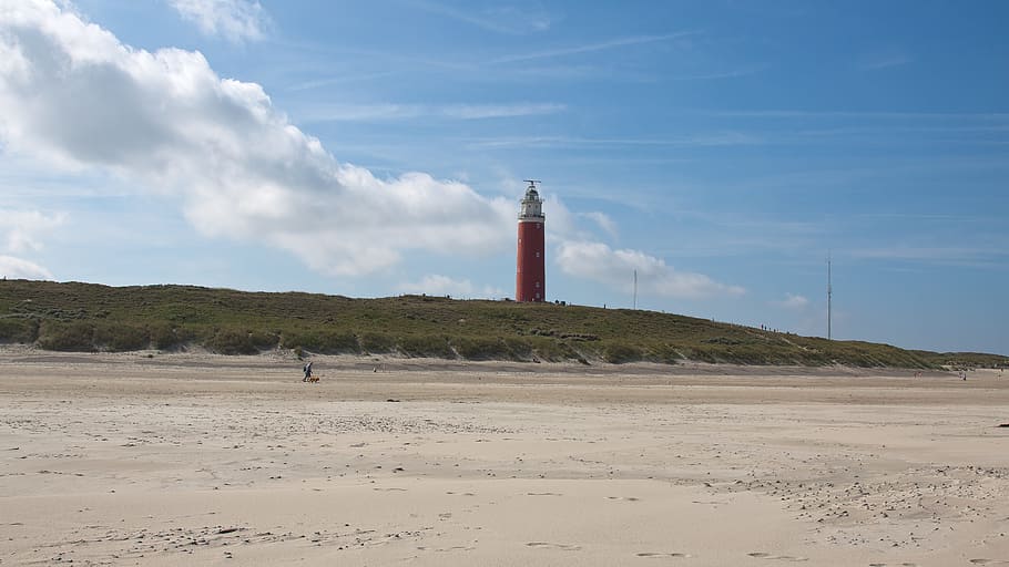 lighthouse, grass, dunes, wind, seafaring, texel, netherlands HD wallpaper