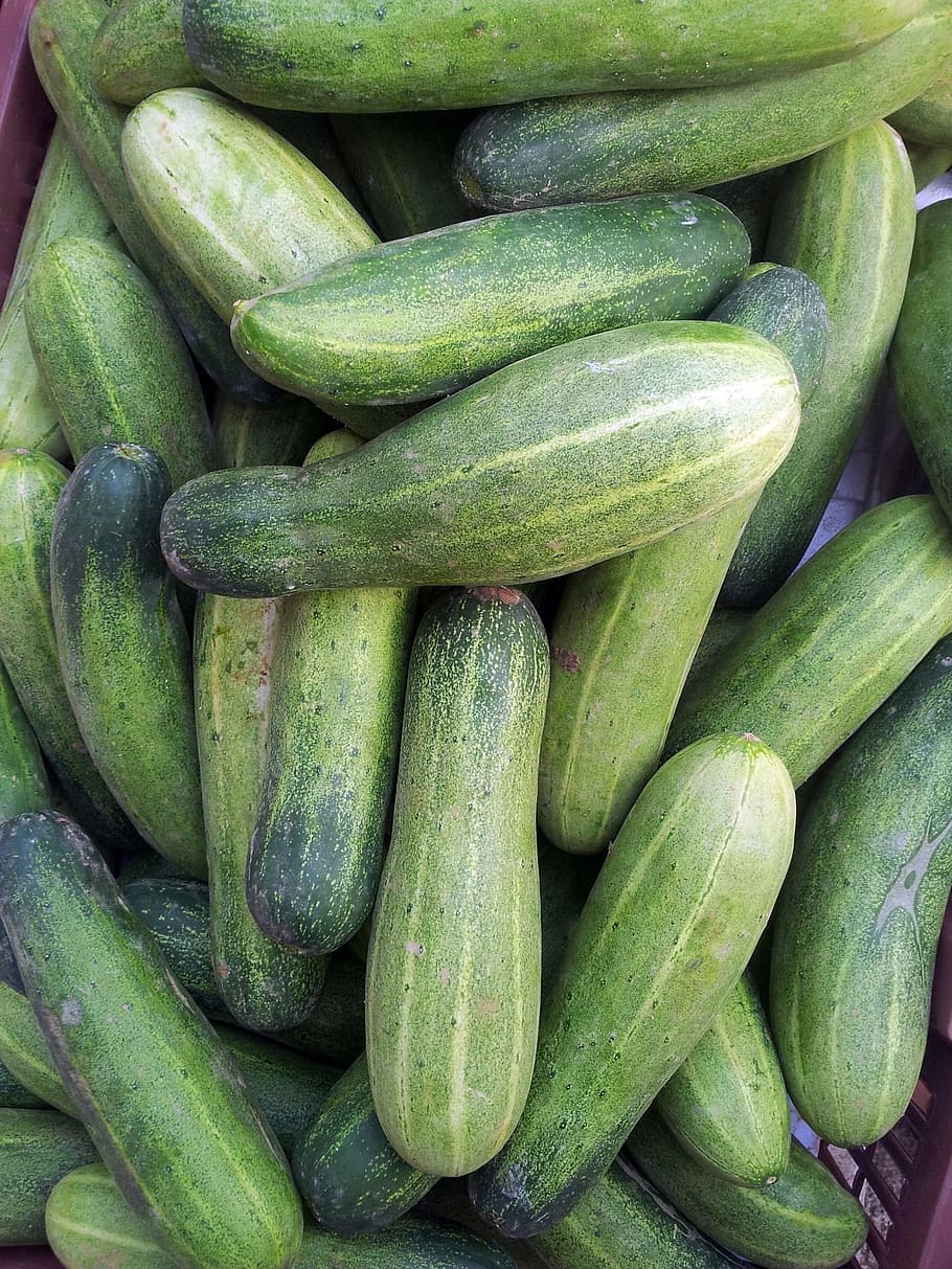 cucumber, green cucumber basket, pile, stack, japanese cucumber HD wallpaper
