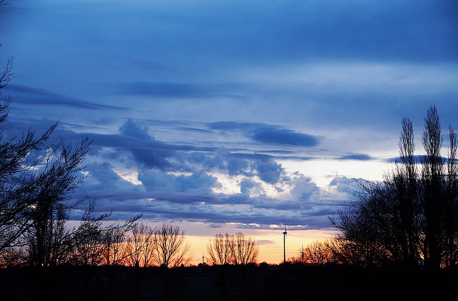 nature, panorama, sky, dawn, cloud - sky, silhouette, plant HD wallpaper