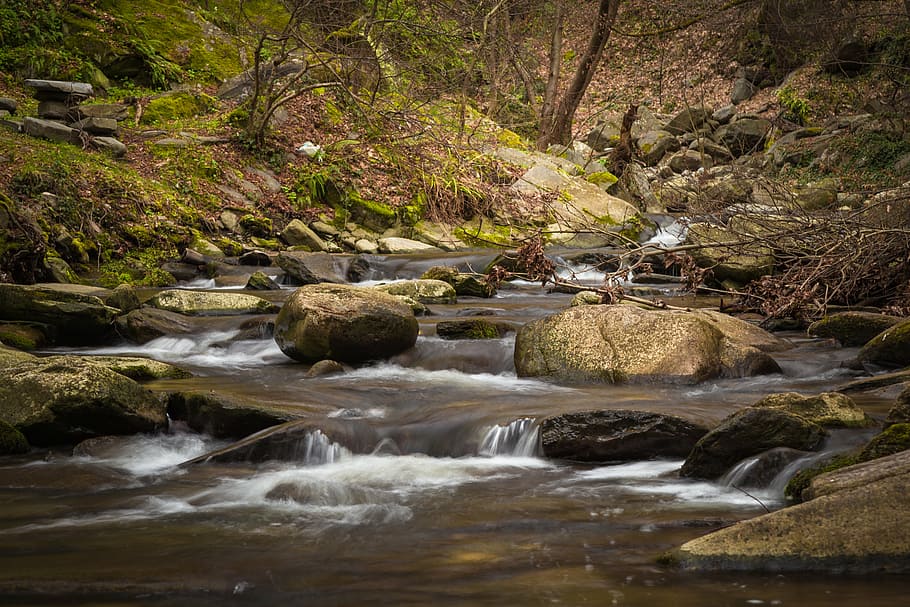 beautiful, boulders, branches, cascade, creek, dry leaves, environment HD wallpaper