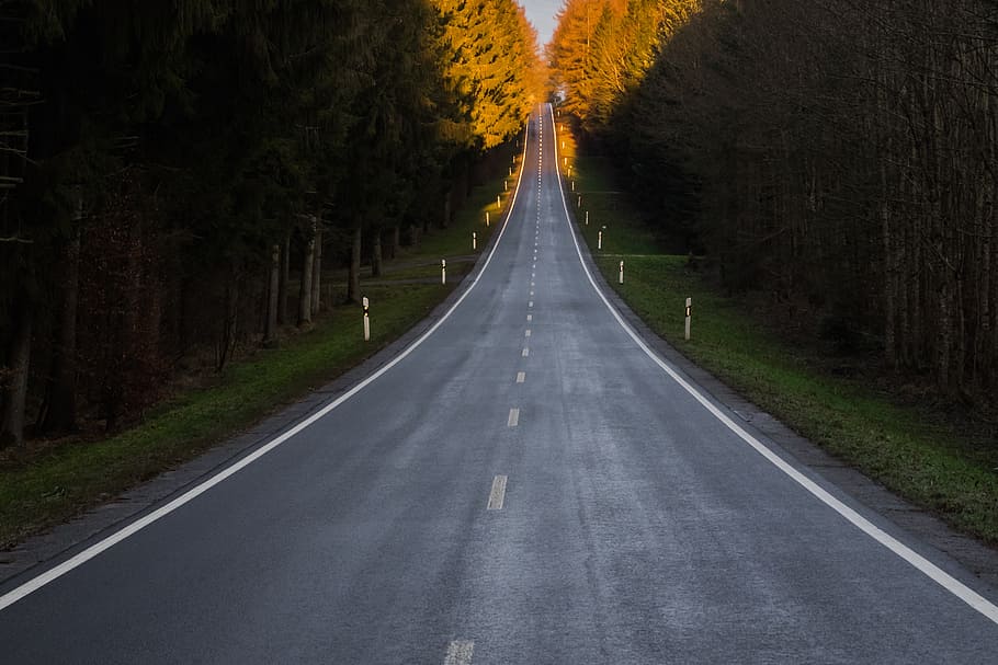 long asphalt road with trees on side, infinite, wide, dom, infinity, HD wallpaper