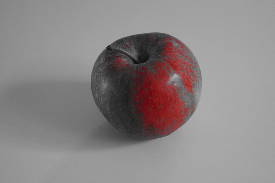 apple, fruit, red, orchard, apples, studio shot, healthy eating HD wallpaper