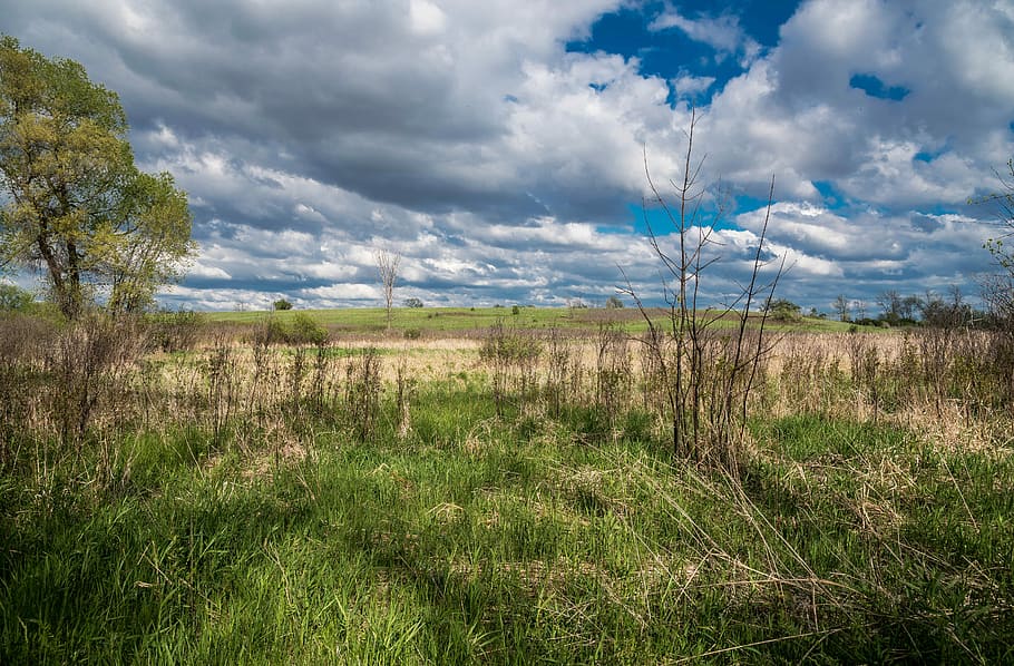 Clouds over the Marsh Landscape, featured, photos, horicon marsh HD wallpaper