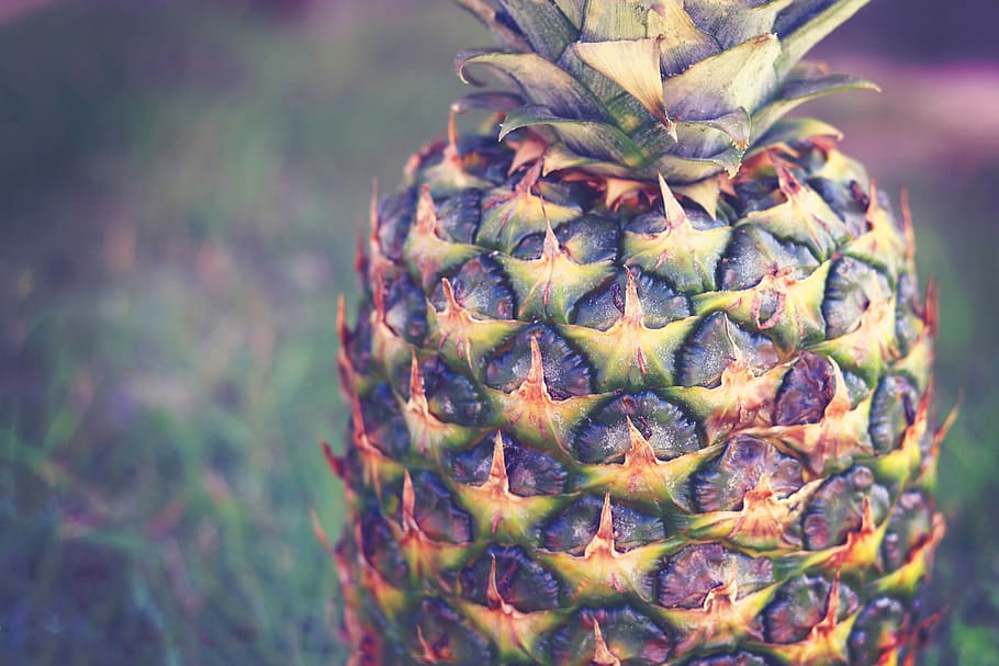 close up photo of green and yellow pineapple, fruit, food, freshness HD wallpaper
