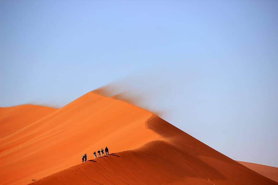 brown dessert, five person walking on desser during daytime, desert HD wallpaper