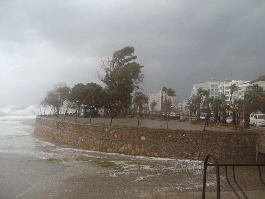 antalya, storm, winter, sky, architecture, city, tree, cloud - sky HD wallpaper