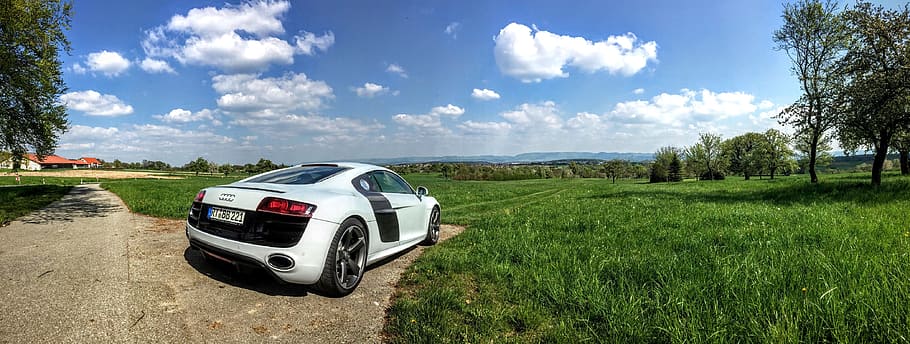 white and black coupe parked near green grass field, audi, r8, HD wallpaper