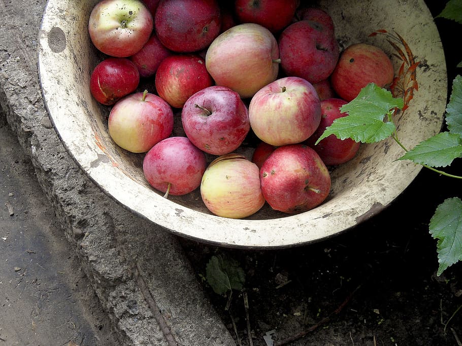 red apples on gray steel tray, vegetables, fruit, plants, sano HD wallpaper