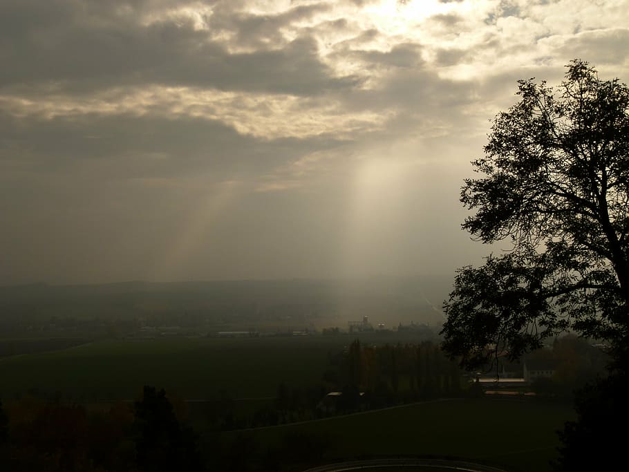 light, rays, clouds, sunbeam, tree, plant, sky, beauty in nature HD wallpaper