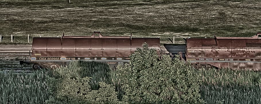 rail, car, composite, railway, plant, agriculture, growth, farm HD wallpaper