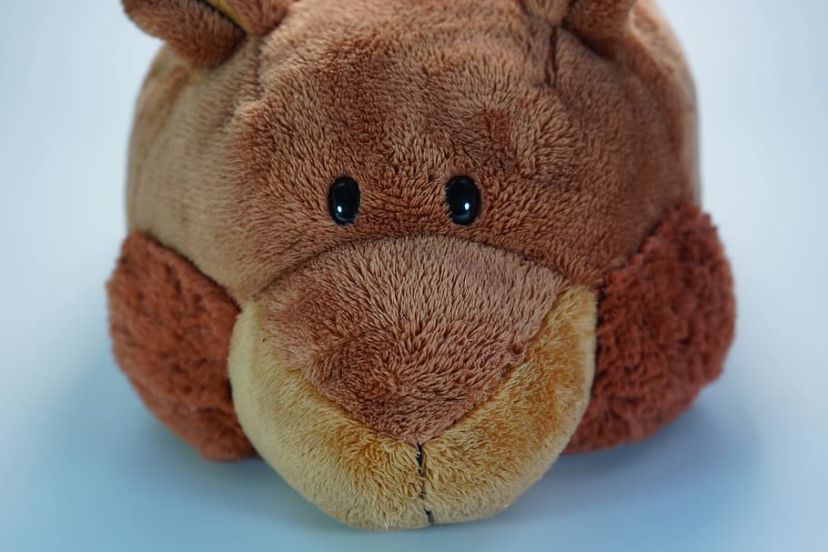 slippers, easily, exceptional, warm, fluffy, close-up, no people HD wallpaper
