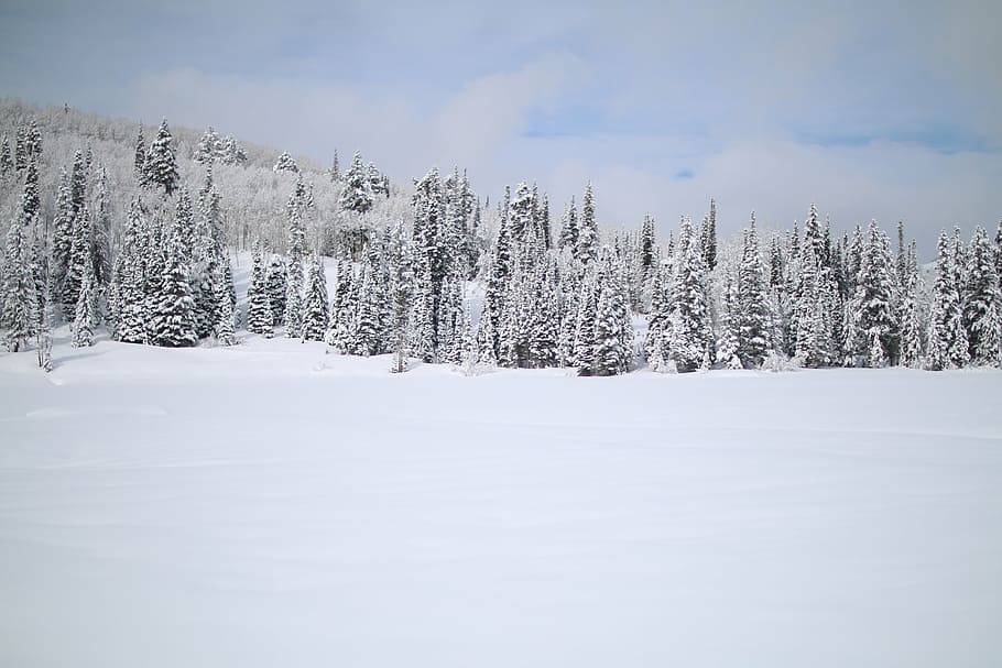 snow covered forest, hills, clouds, view, mountains, nature HD wallpaper