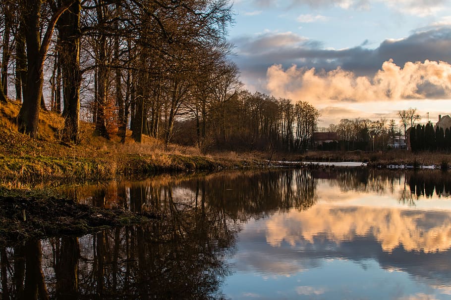 Golden Reflection, brown trees and lake, water, forest, cloud HD wallpaper