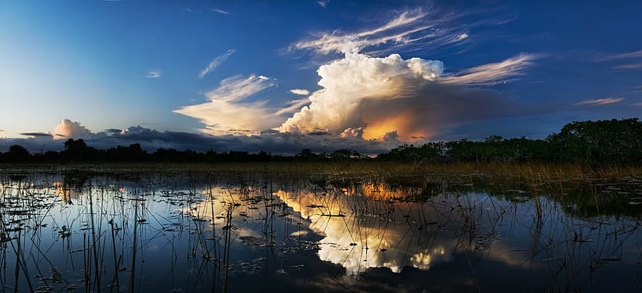 photo of lake during daytime, storm clouds, everglades, swamp