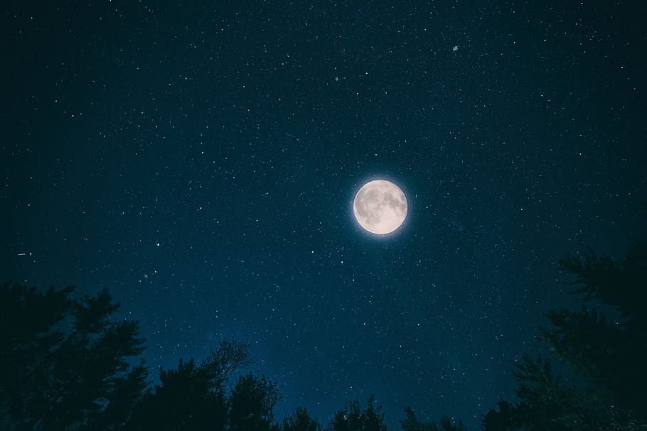 worm's eyeview of full moon, night, sky, month, dark, nature