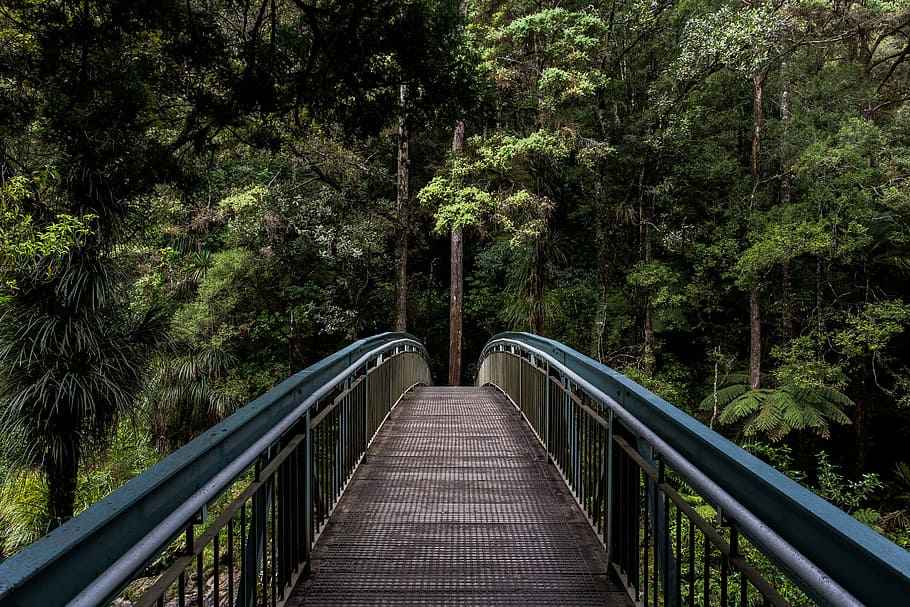 empty footbridge leading to a thick forest, black, bridges, brown, HD wallpaper