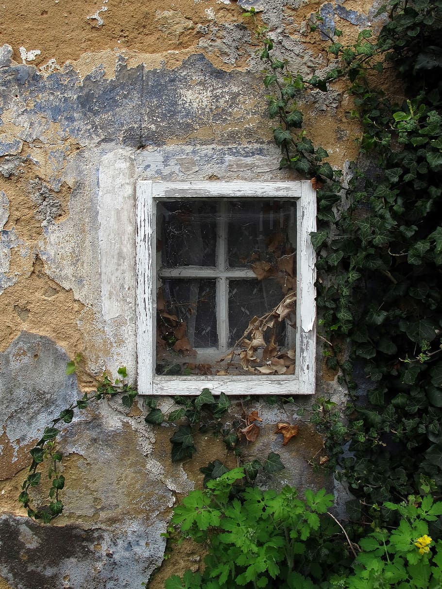 window, old window, window frames, glass, wooden windows, wall HD wallpaper