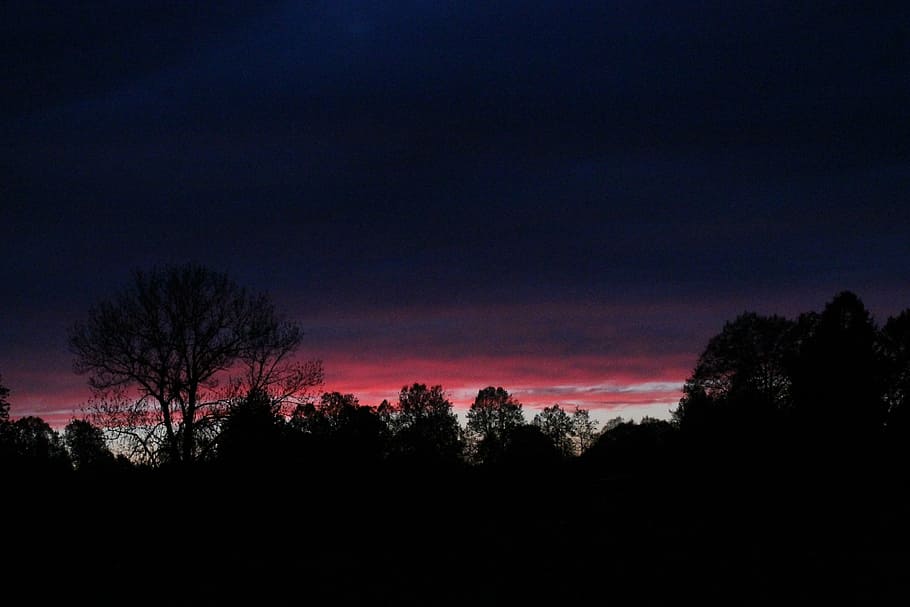 dark clouds, night, trees, silhouette, scenics, nature, tranquil scene HD wallpaper